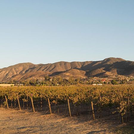 Casa Entrevez Bed & Breakfast Valle de Guadalupe Dış mekan fotoğraf
